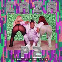 Cover Caza - P2
