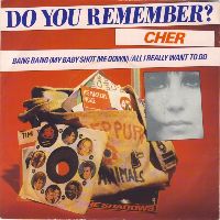 Cover Cher - Bang Bang (My Baby Shot Me Down)