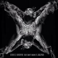 Cover Chris Brown feat. Aaliyah - Don't Think They Know