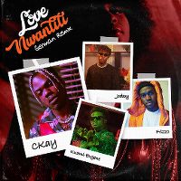 Cover CKay feat. Joeboy & Kuami Eugene - Love Nwantiti (ah ah ah)