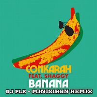 Cover Conkarah feat. Shaggy - Banana