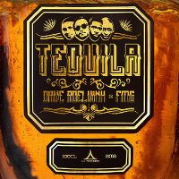 Cover Dave Roelvink x FMG - Tequila