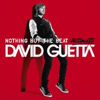 Cover David Guetta - Nothing But The Beat