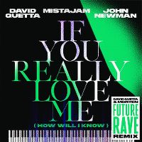 Cover David Guetta / MistaJam / John Newman - If You Really Love Me (How Will I Know)