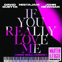 Cover David Guetta / MistaJam / John Newman - If You Really Love Me (How Will I Know)