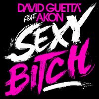Cover David Guetta feat. Akon - Sexy Bitch