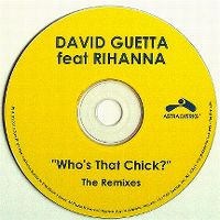 Cover David Guetta feat. Rihanna - Who's That Chick?