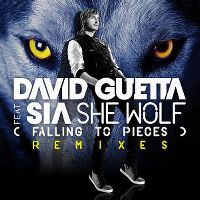 Cover David Guetta feat. Sia - She Wolf (Falling To Pieces)