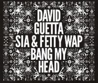 Cover David Guetta feat. Sia & Fetty Wap - Bang My Head