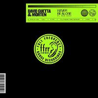 Cover David Guetta & Morten feat. Aloe Blacc - Never Be Alone
