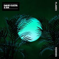 Cover David Guetta & Sia - Flames