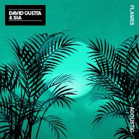 Cover David Guetta & Sia - Flames