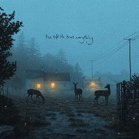Cover Dermot Kennedy - I've Told The Trees Everything