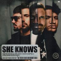 Cover Dimitri Vegas & Like Mike x David Guetta x Afro Bros with Akon - She Knows