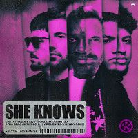 Cover Dimitri Vegas & Like Mike x David Guetta x Afro Bros with Akon - She Knows