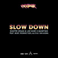Cover Dimitri Vegas & Like Mike x Quintino feat. Boef, Ronnie Flex, Ali B & I Am Aisha - Slow Down