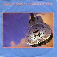 Cover Dire Straits - Walk Of Life