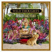Cover DJ Khaled feat. Rihanna & Bryson Tiller - Wild Thoughts