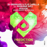 Cover DJ Observer & Flip Capella feat. Mariana Bell - Reason