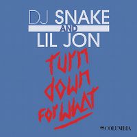Cover DJ Snake and Lil Jon - Turn Down For What