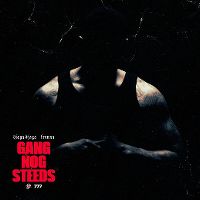 Cover Djaga Djaga feat. Frenna - Gang nog steeds