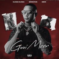 Cover Djaga Djaga x Esko x Broertje - Gooimeer