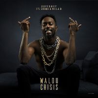 Cover Dopebwoy feat. 3robi & Mula B - Walou crisis