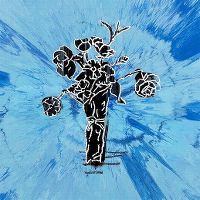 Cover Ed Sheeran - Supermarket Flowers