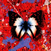 Cover Ed Sheeran feat. Lil Baby - 2step