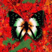 Cover Ed Sheeran feat. Lil Baby - 2step