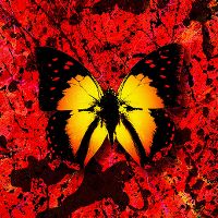 Cover Ed Sheeran feat. Lil Baby - 2step