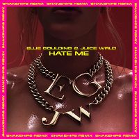 Cover Ellie Goulding & Juice WRLD - Hate Me