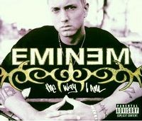 Cover Eminem - The Way I Am