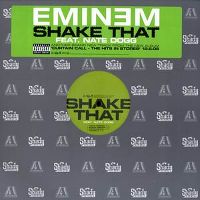 Cover Eminem feat. Nate Dogg - Shake That