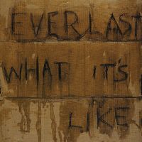 Cover Everlast - What It's Like