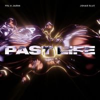 Cover Felix Jaehn / Jonas Blue - Past Life