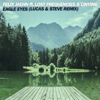 Cover Felix Jaehn feat. Lost Frequencies & Linying - Eagle Eyes