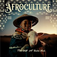 Cover Flavour feat. Baaba Maal - Afroculture