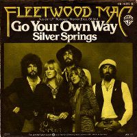 Cover Fleetwood Mac - Go Your Own Way