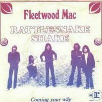 Cover Fleetwood Mac - Rattlesnake Shake