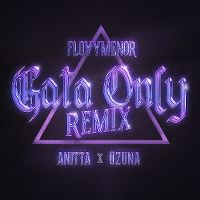 Cover Floyymenor / Ozuna x Anitta - Gata Only (Remix)