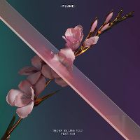 Cover Flume feat. Kai - Never Be Like You