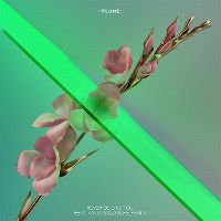 Cover Flume feat. Kai - Never Be Like You