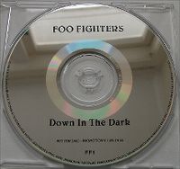 Cover Foo Fighters - Down In The Park