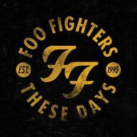 Cover Foo Fighters - These Days