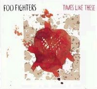 Cover Foo Fighters - Times Like These