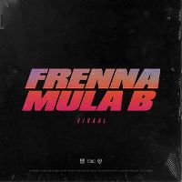Cover Frenna feat. Mula B - Viraal