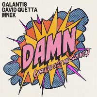 Cover Galantis, David Guetta & MNEK - Damn (You've Got Me Saying)