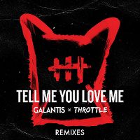 Cover Galantis & Throttle - Tell Me You Love Me