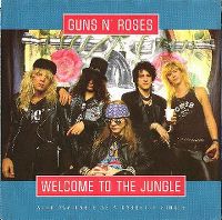 Cover Guns N' Roses - Welcome To The Jungle